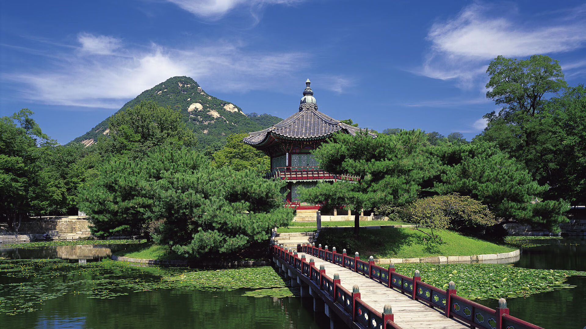 世界举重康复线上课堂新增案例实操直播栏目，世界举重锦标赛央视